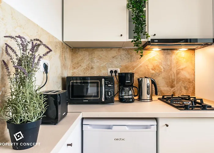 Apartman Central Address Near Unirii Square